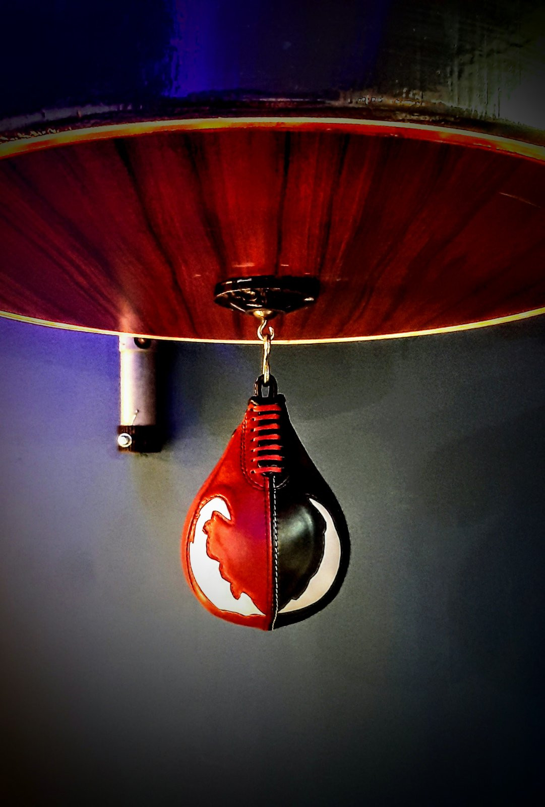 Click image for larger version

Name:	roni-speed-bag-product-30.jpg
Views:	4
Size:	268.2 KB
ID:	130923