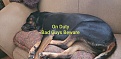 Click image for larger version

Name:	Watch out.jpg
Views:	268
Size:	1.32 MB
ID:	122315