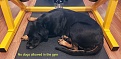 Click image for larger version

Name:	fuckinmove.jpg
Views:	226
Size:	1.54 MB
ID:	122316
