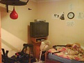 Click image for larger version

Name:	DSC00210.JPG
Views:	1553
Size:	222.3 KB
ID:	87163