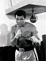 Click image for larger version

Name:	ALI KANGAROO BAG1.jpg
Views:	435
Size:	102.2 KB
ID:	87331
