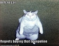 Click image for larger version

Name:	funny-pictures-cat-regrets-buying-trampoline.jpg
Views:	352
Size:	40.1 KB
ID:	87390