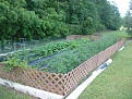 Click image for larger version

Name:	Garden end May09.jpg
Views:	448
Size:	329.5 KB
ID:	87417