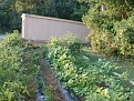 Click image for larger version

Name:	GARDENfullshotaftercalclimeJUNE09.jpg
Views:	481
Size:	331.9 KB
ID:	87419