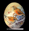 Click image for larger version

Name:	egg Big_Amreican_Robin_Decorated_Ostrich_Eggs.jpg
Views:	359
Size:	76.2 KB
ID:	88166