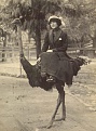 Click image for larger version

Name:	emu 3.jpg
Views:	367
Size:	31.0 KB
ID:	88250