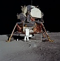 Click image for larger version

Name:	moon walk.jpg
Views:	485
Size:	66.3 KB
ID:	88288