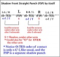 Click image for larger version

Name:	1. FSP shadow B4 O-TES_sm 600.jpg
Views:	411
Size:	89.1 KB
ID:	88538