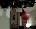 Click image for larger version

Name:	Screen Shot 2013-01-05 at 12.29.16 PM.jpg
Views:	298
Size:	18.7 KB
ID:	88599