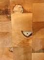 Click image for larger version

Name:	back 2.jpg
Views:	552
Size:	294.0 KB
ID:	88661