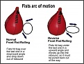 Click image for larger version

Name:	Fist arc of motion in F-Roll.jpg
Views:	341
Size:	65.1 KB
ID:	88760