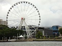 Click image for larger version

Name:	Wheel of Bris.jpg
Views:	408
Size:	236.3 KB
ID:	88834