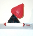 Click image for larger version

Name:	Bladder plastic.jpg
Views:	362
Size:	47.1 KB
ID:	88870