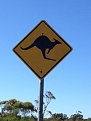 Click image for larger version

Name:	Rd sign.jpg
Views:	343
Size:	168.1 KB
ID:	88889