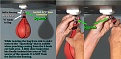 Click image for larger version

Name:	swivel squeek.jpg
Views:	428
Size:	159.5 KB
ID:	89112