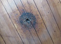 Click image for larger version

Name:	IMG_6119.JPG
Views:	290
Size:	204.7 KB
ID:	89143