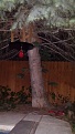 Click image for larger version

Name:	20150528_220257.jpg
Views:	375
Size:	1.72 MB
ID:	89400