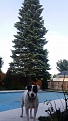 Click image for larger version

Name:	20150530_083411 - e.jpg
Views:	320
Size:	551.3 KB
ID:	91147