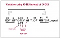 Click image for larger version

Name:	Ross RDP ' SSP variation 1.jpg
Views:	314
Size:	52.2 KB
ID:	91251
