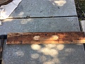 Click image for larger version

Name:	IMG_0377.JPG
Views:	586
Size:	981.4 KB
ID:	91583