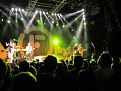 Click image for larger version

Name:	IMG_0462.jpg
Views:	422
Size:	49.6 KB
ID:	92438