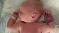 Click image for larger version

Name:	MightyQuinn02_07_2010.jpg
Views:	368
Size:	72.6 KB
ID:	92568