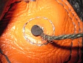 Click image for larger version

Name:	IMG_0904.JPG
Views:	378
Size:	109.8 KB
ID:	92586