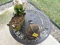 Click image for larger version

Name:	Everlast 4200 2.jpg
Views:	406
Size:	271.6 KB
ID:	93094
