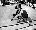 Click image for larger version

Name:	jack-dempsey 9.jpg
Views:	313
Size:	163.0 KB
ID:	93172