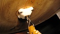 Click image for larger version

Name:	No. 13 a IMG_1177.jpg
Views:	413
Size:	192.5 KB
ID:	93245