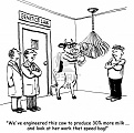 Click image for larger version

Name:	11000328-we-ve-engineered-this-cow-to-produce-30-more-milk---and-look-at-her-work-that-speed-bag.jpg
Views:	331
Size:	236.7 KB
ID:	93746