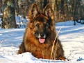 Click image for larger version

Name:	Jake.jpg
Views:	380
Size:	608.2 KB
ID:	93938