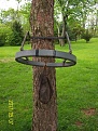 Click image for larger version

Name:	ring2.jpg
Views:	419
Size:	234.4 KB
ID:	94425