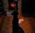 Click image for larger version

Name:	Vera at wood stove.jpg
Views:	312
Size:	70.0 KB
ID:	94498
