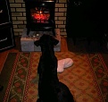 Click image for larger version

Name:	Vera at wood stove.jpg
Views:	259
Size:	70.0 KB
ID:	94498