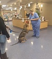 Click image for larger version

Name:	brewster_vet_5.jpg
Views:	298
Size:	83.4 KB
ID:	94626