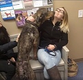 Click image for larger version

Name:	brewster_vet_6.jpg
Views:	294
Size:	92.7 KB
ID:	94627