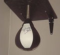 Click image for larger version

Name:	Spring Mount Speed Bag.jpg
Views:	298
Size:	25.3 KB
ID:	94633