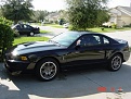 2002 Mustang GT.  4.6 Liter about 260 HP.  Ran 14.5 quarter mile (auto transmission).   Not a bad car, but not spectacular either.  I actually traded in the Cobra to buy this :(

I drove this car without air conditioning for over 2 years (remember I live in Florida!)