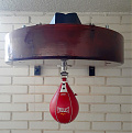 Everlast MX Speed Bag Platform on a Title Lighting Fast Super Swivel